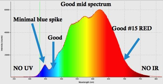 Top-quality LED with CRI 95+ Top-quality LED with CRI 95+